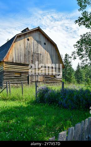 Holzhütten umgeben von Natur im Ukrainischen Heritage Village in Kanada, an einem sonnigen Tag Stockfoto