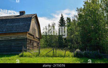 Holzhütten umgeben von Natur im Ukrainischen Heritage Village in Kanada, an einem sonnigen Tag Stockfoto