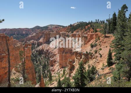 Freistehende, geologische Erosionsreste, konische vertikale Hoodoos vom Aussichtspunkt Ponderosa Canyon, Bryce Canyon National Park, Utah. Stockfoto