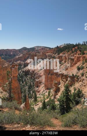 Freistehende, geologische Erosionsreste, konische vertikale Hoodoos vom Aussichtspunkt Ponderosa Canyon, Bryce Canyon National Park, Utah. Stockfoto