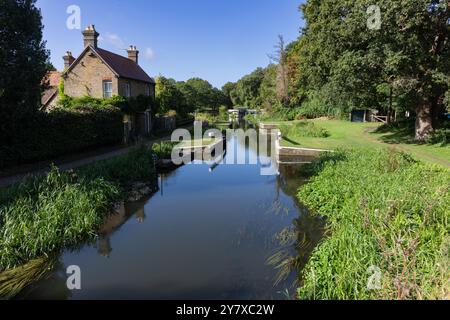 Ruhige Szenerie am Walsham Gates Lock am River Wey Navigations, in der Nähe von West Byfleet und in der Nähe von Woking Stockfoto