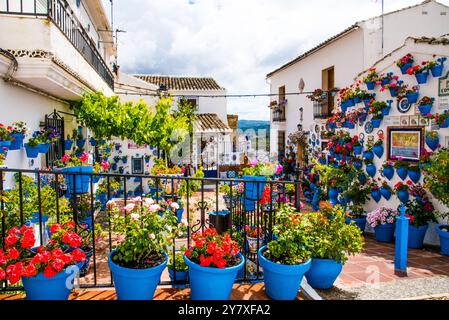 Iznajar, ein weißes Dorf voller Blumen, am Stausee, im Olivengürtel der Provinz Cordoba, Spanien Stockfoto