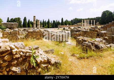 Asklipieion (Asklipion) auf der Insel Kos in Griechenland: Mittlere Terrasse, Ionische Säulen, Asklipios Tempel (Asklipios Tempel) (links) und Apollon Templ Stockfoto