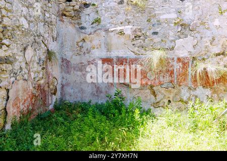 Asklipieion (Asklipion) auf der Insel Kos in Griechenland: Untere Terrasse, römisches Badehaus, bewachsene Überreste von Wandmalereien Stockfoto