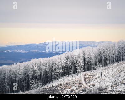 Eine malerische Winterlandschaft von Galyatet? Im Mátra-Gebirge, Ungarn. Das Bild zeigt einen frostbedeckten Wald und einen gewundenen Pfad, der durch die Gegend führt Stockfoto