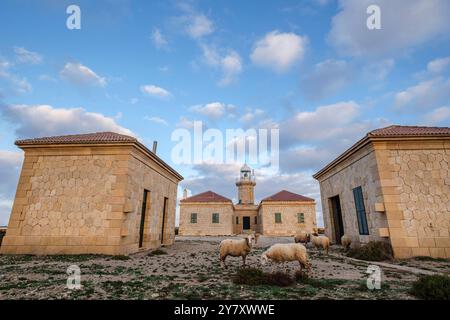 Leuchtturm von Punta Nati, Ciutadella, Menorca, Balearen, Spanien Stockfoto