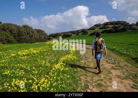 Wandern auf dem Pferdeweg, - Cami de Cavalls-, s'Albufera des Grau Naturpark, Menorca, Balearen, Spanien Stockfoto