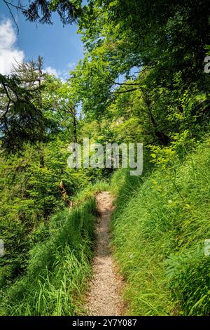 Auf dem Weg durch die Rappinschlucht, Jachenau, Oberbayern, Bayern, Deutschland Stockfoto