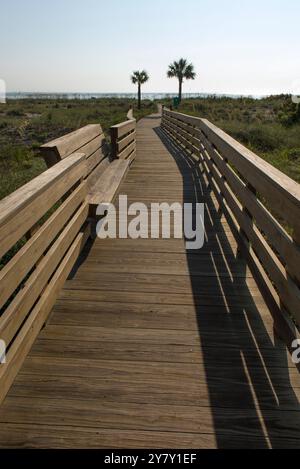 Eine malerische Holzpromenade führt zum Strand, umgeben von Grün und Palmen. Der Weg schafft ein Gefühl von Gelassenheit und Richtung zum Stockfoto