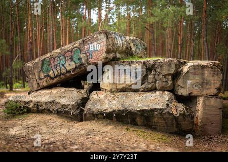 Ein alter Bunker aus dem 2. Weltkrieg, Wald und Natur im Hintergrund. Der Bunker wurde in die Luft gesprengt Stockfoto