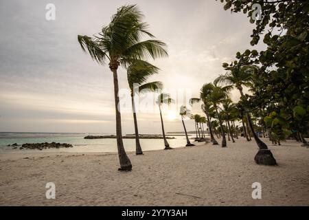 Plage du bourg, Sonnenuntergang am Strand, Sainte-Anne, Guadelupe Französische Antillen, Frankreich, Europa Stockfoto