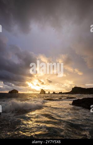 Pointe des Chateaux, Felsen im Meer, Sonnenaufgang, Pointes des colibris, Guadeloupe, Französische Antillen, Frankreich, Europa Stockfoto
