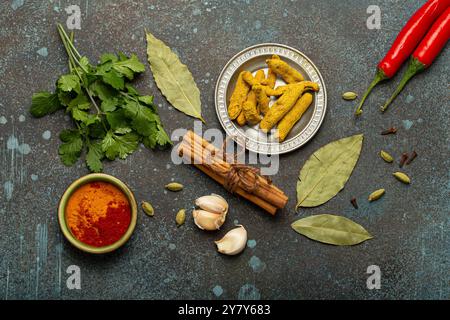 Gewürze und Kräuter aus der indischen Küche Stockfoto