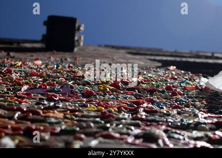 Eine Nahaufnahme mit Blick auf eine Reihe von gebrauchten Kaugummis, die an eine Ziegelwand gedrückt wurden, gesehen an der Seattle Gum Wall. Stockfoto