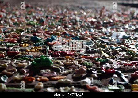 Eine Nahaufnahme mit Blick auf eine Reihe von gebrauchten Kaugummis, die an eine Ziegelwand gedrückt wurden, gesehen an der Seattle Gum Wall. Stockfoto