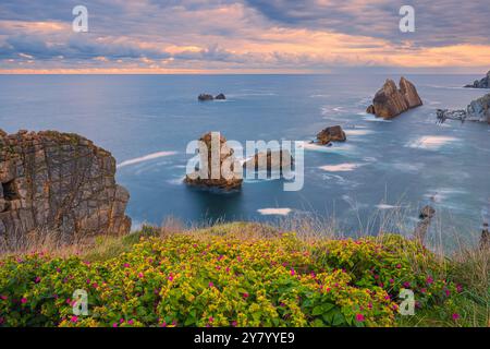 Ein Vormittag am Urros de Liencres Felsformationen in der Nähe von Playa de la Arnía, besser bekannt als Arnía, ein Strand im Naturpark des Dunas de Liencres Stockfoto