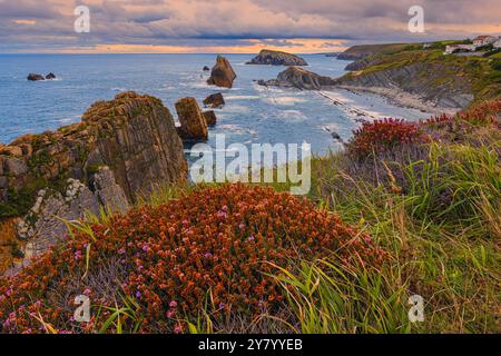 Ein Sonnenaufgang an den Urros de Liencres Felsformationen mit Blick auf Playa de la Arnía, besser bekannt als Arnía, ein Strand im Naturpark der Stockfoto