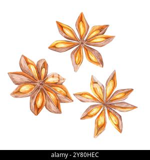Ein Set von drei Sternanis-Schoten in Aquarell. Gewürze Clipart. Perfekt für saisonale Designs, Branding für Bio-Lebensmittel oder für eine rustikale Note bei Verpackungen von Küchenartikeln und Produkten mit Urlaubsthemen Stockfoto
