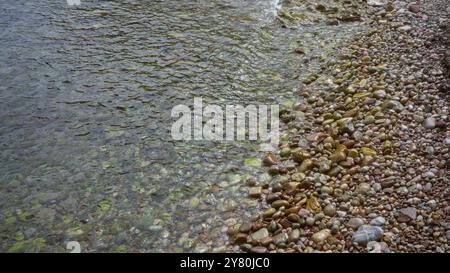 Klares Wasser schlägt sanft über farbenfrohe Kieselsteine an einem ruhigen Strand und schafft eine ruhige natürliche Szene mit einer Mischung aus grünen, braunen und rosa Steinen Stockfoto