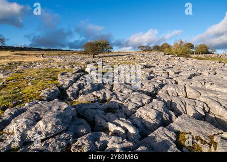 Newbiggin Crags, eine Kalksteinpflasterlandschaft in der Nähe von Burton in Lonsdale, Cumbria, England. Stockfoto