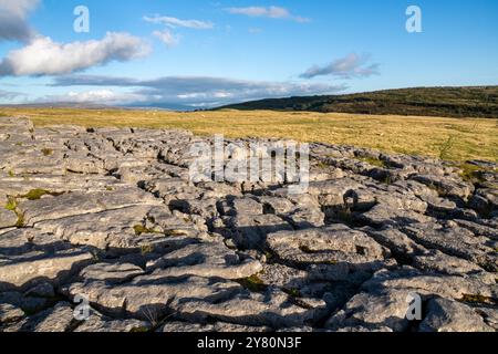 Newbiggin Crags, eine Kalksteinpflasterlandschaft in der Nähe von Burton in Lonsdale, Cumbria, England. Stockfoto