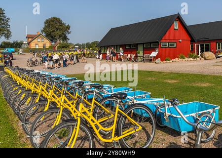 Tagesbesucher auf der Insel Ven stehen bei der Fahrradverleih an, nachdem die Fähre ankommt. Weit über tausend Leihfahrräder stehen auf der Insel Ven zur Verfügung. Landsvägen, Sankt IBB, Skåne län, Schweden Stockfoto