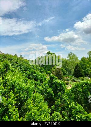 Architektonisches Wunder und üppiges Grün rund um die Washington National Cathedral Stockfoto