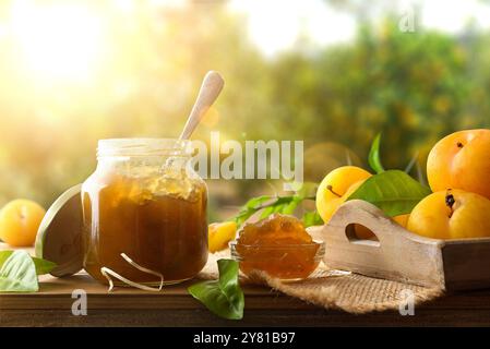 Hausgemachte Pflaumenmarmelade in Glasgläsern auf Holztisch im Pflaumenfeld. Vorderansicht. Stockfoto