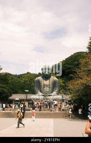 Das Bild zeigt den berühmten Großen Buddha von Kamakura, eine massive Bronzestatue, die friedlich im Freien sitzt und von üppigem Grün umgeben ist. Stockfoto