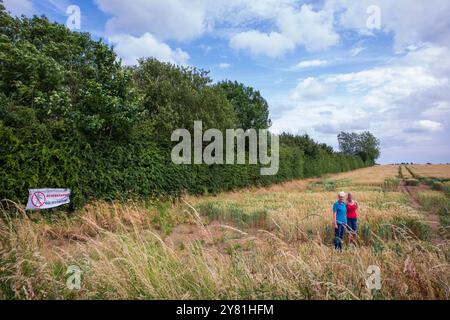 Nachbarn Donna Callaghan (rotes Hemd) und Jen Cooper, die neben der geplanten neuen National Grid Sub Station in Asserby leben. Auf dem Feld stehen, auf dem die Umspannstation gebaut werden kann. Der geplante Standort einer New National Grid Substation in Asserby nahe der Historic Town of Alford, Lincolnshire. Das Umspannwerk wird Teil eines neuen Netzes aus oberer und unterirdischer Stromleitung sein, das Strom vom Offshore-Windpark auf die Ostküste Englands hinauf und hinunter transportiert. Stockfoto