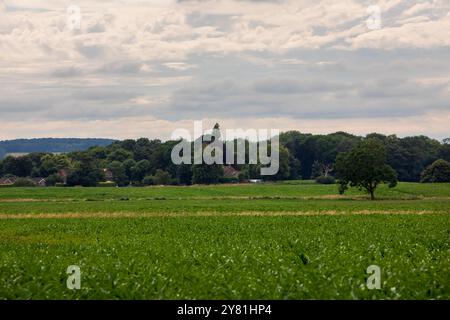 Der geplante Standort einer New National Grid Substation in Asserby nahe der Historic Town of Alford, Lincolnshire. Das Umspannwerk wird Teil eines neuen Netzes aus oberer und unterirdischer Stromleitung sein, das Strom vom Offshore-Windpark auf die Ostküste Englands hinauf und hinunter transportiert. Stockfoto