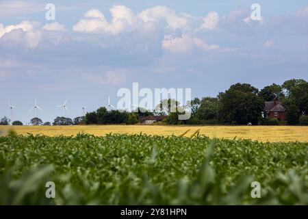 Der geplante Standort einer New National Grid Substation in Asserby nahe der Historic Town of Alford, Lincolnshire. Das Umspannwerk wird Teil eines neuen Netzes aus oberer und unterirdischer Stromleitung sein, das Strom vom Offshore-Windpark auf die Ostküste Englands hinauf und hinunter transportiert. Stockfoto