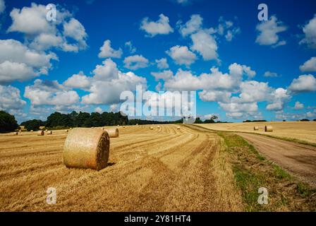 Goldenes Bauernfeld mit Heuballen nach der Ernte unter blauem Himmel mit weißen Wolken. Landwirtschaftlich genutzte Flächen. Norfolk, England, Großbritannien Stockfoto