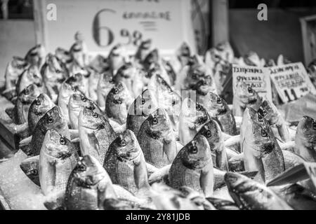 Fischhändler am frühen Morgen auf dem Athener Fischmarkt verkaufen Fänge frisch aus dem Meer Stockfoto
