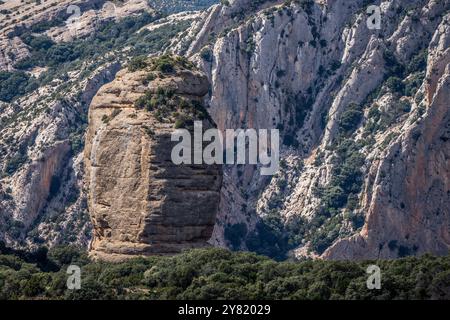 St. COSME's Ei Rock Formation (huevo de San COSME), Sierra and Canyons of Guara Natural Park, Huesca, Aragon Community, Spanien Stockfoto