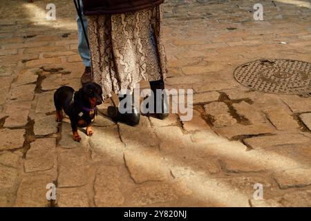 Ein kleiner schwarzer Hund an der Leine steht neben einer Person mit schwarzen Stiefeln und Denim auf einer kopfsteingepflasterten Straße. Stockfoto