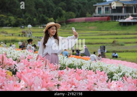 Peking, Stadt Tengchong in der Provinz Yunnan im Südwesten Chinas. Oktober 2024. Ein Tourist macht Selfies zwischen Blumen an einem malerischen Ort in Qushi, Stadt Tengchong in der südwestlichen chinesischen Provinz Yunnan, 2. Oktober 2024. Der Nationalfeiertag, der in diesem Jahr vom 1. Bis 7. Oktober stattfindet, ist eine Reise- und Tourismussaison in China. Quelle: Gong Zujin/Xinhua/Alamy Live News Stockfoto