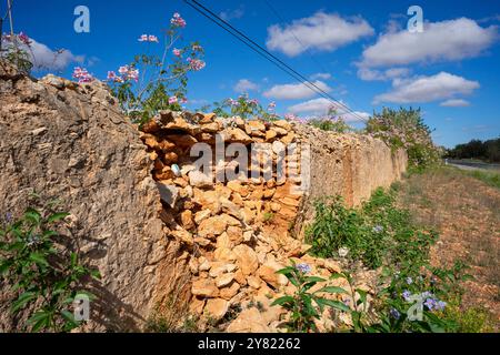 Mörtelwand, Erde und Steine, Llucmajor, Mallorca, Balearen, Spanien Stockfoto