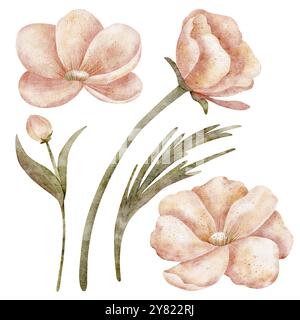 Set mit Blumen, Knospen, Blättern, auf einem Stiel in Pastelltönen. Abbildung isoliert auf weißem Hintergrund. Clip Art Sommer zum Design von Stockfoto