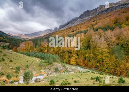 Schlucht von Petraficha, Zuriza, westlichen Täler, Pyrenäen, Provinz Huesca, Aragón, Spanien, Europa Stockfoto