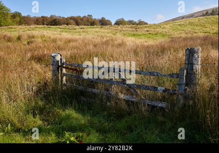 Altes und ziemlich baufälliges Farmtor, das auf einen leeren, mit Rausch bedeckten Hügel führt Stockfoto