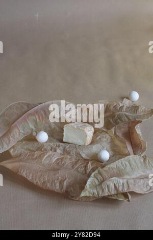 Ein Stück Camembert-Käse auf getrockneten Blättern, auf beigefarbenem Hintergrund, der eine rustikale und natürliche Ästhetik in einem einfachen, eleganten Kompott schafft Stockfoto