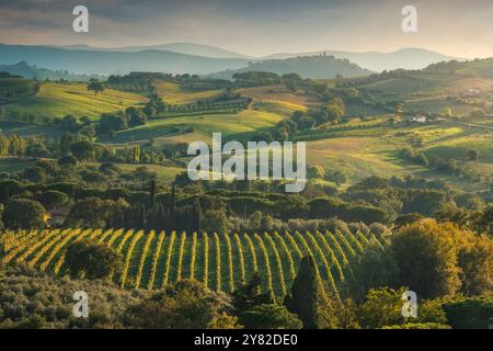 Landschaft der Weinberge Morellino di Scansano im Herbst. Im Hintergrund das Dorf Montiano. Maremma, Provinz Grosseto, Toskana reg Stockfoto