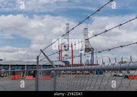 New York, Usa. Oktober 2024. Im Hintergrund sind Leerlaufkräne zu sehen, als Longshoremen am Red Hook Terminal in Brooklyn, New York, Streik begann und einen fairen Vertrag forderte, einschließlich einer Unterbrechung der Nutzung neuer Technologien für die Automatisierung der Containerumschlagung. Mehr als 50.000 Arbeiter streiken in Häfen entlang der Ostküste und Texas, nachdem der Vertrag zwischen der ILA und der United States Maritime Alliance (USMX) ausgelaufen ist. (Foto: Lev Radin/Pacific Press) Credit: Pacific Press Media Production Corp./Alamy Live News Stockfoto