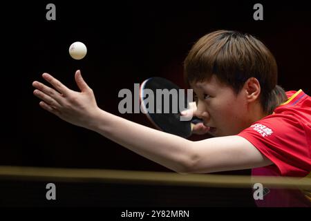 Peking, China. Oktober 2024. Wang Manyu spielt beim 2. Runde Spiel der Frauen zwischen Wang Manyu aus China und Sabine Winter aus Deutschland beim 2024 World Table Tennis (WTT) China Smash in Peking, China, 2. Oktober 2024. Quelle: Xiao Yijiu/Xinhua/Alamy Live News Stockfoto