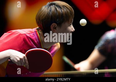 Peking, China. Oktober 2024. Wang Manyu spielt beim 2. Runde Spiel der Frauen zwischen Wang Manyu aus China und Sabine Winter aus Deutschland beim 2024 World Table Tennis (WTT) China Smash in Peking, China, 2. Oktober 2024. Quelle: Xiao Yijiu/Xinhua/Alamy Live News Stockfoto