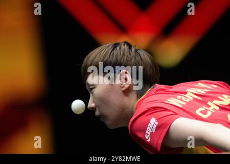 Peking, China. Oktober 2024. Wang Manyu spielt beim 2. Runde Spiel der Frauen zwischen Wang Manyu aus China und Sabine Winter aus Deutschland beim 2024 World Table Tennis (WTT) China Smash in Peking, China, 2. Oktober 2024. Quelle: Xiao Yijiu/Xinhua/Alamy Live News Stockfoto