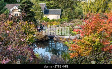 Edinburgh, Schottland, Vereinigtes Königreich, 2. Oktober 2024. Herbstsonne in den Royal Botanic Gardens: Die Blätter der Bäume zeigen sich in den Farben des Herbstes, während die Besucher den sonnigen Tag genießen. Quelle: Sally Anderson/Alamy Live News Stockfoto