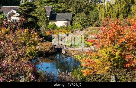 Edinburgh, Schottland, Vereinigtes Königreich, 2. Oktober 2024. Herbstsonne in den Royal Botanic Gardens: An einem sonnigen Tag beginnen die Herbstfarben in den Blättern der Bäume zu zeigen. Quelle: Sally Anderson/Alamy Live News Stockfoto