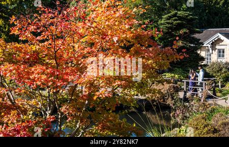 Edinburgh, Schottland, Vereinigtes Königreich, 2. Oktober 2024. Herbstsonne in den Royal Botanic Gardens: Die Blätter der Bäume zeigen sich in den Farben des Herbstes, während die Besucher den sonnigen Tag genießen. Quelle: Sally Anderson/Alamy Live News Stockfoto